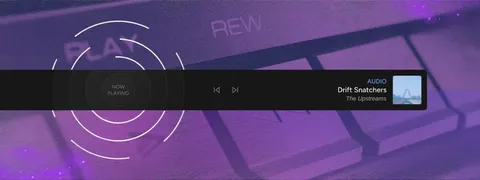 Live Stream Playback Controls – Play, Skip, Rewind